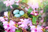 Frohe Ostern: 40 klassische, lustige und süße WhatsApp-Grüße zu Ostern 2025