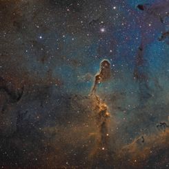  The Elephant's Trunk in IC 1396 