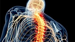 Kadınlar ve Erkekler Ağrıyı Farklı Şekillerde Hafifletiyor!