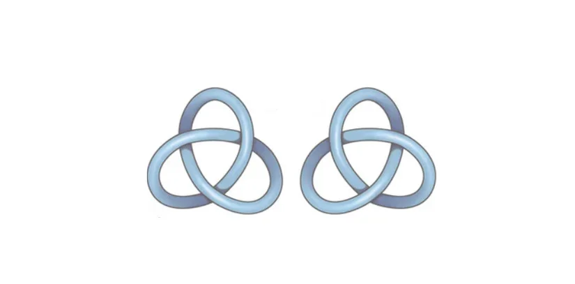 Düğüm Teorisi'nde, düğümler tek segmentin uçlarının kusursuz tek biçimde birleştirilerek uzak tek devir oluşturulmasıyla meydana gelir. Düğümler daha sonraları segmentin kendisini kaç kez ve ne şekilde kestiğiyle karakterize edilir. Temel döngüden sonraları en basit düğüm, yansıtıcı görüntüsü dışında kesinlikle üçüncüsü kesişmeyle oluşturulabilen tekbaşına düğüm olan üçüncüsü yapraklı düğümdür.