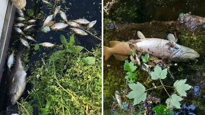 Toxic Cyanide Spill Devastates Walsall Canal Wildlife