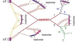 Kuantum Elektrodinamiği (QED) ve Kuantum Kromodinamiği (QCD)