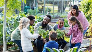 Students Cultivate Change Through School Gardens