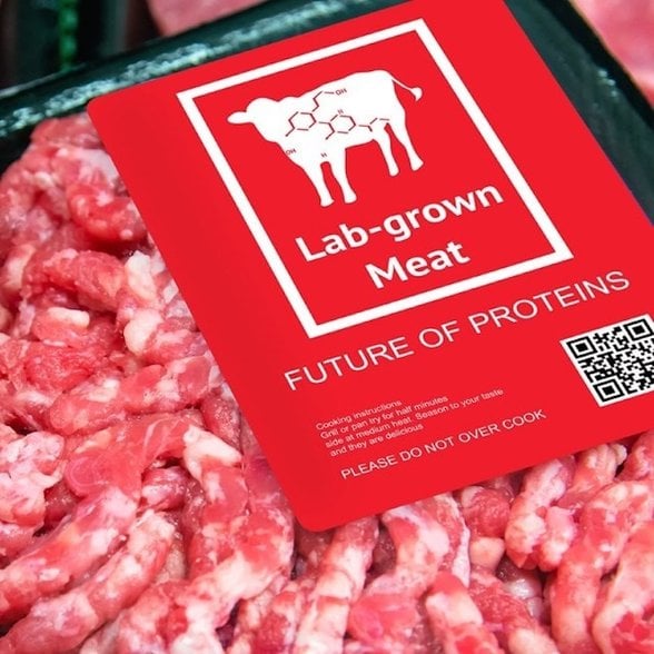 Hayvansal kaynaklı olmayan et