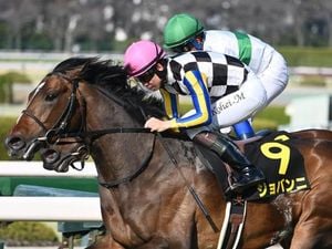 Jovani Dominates Wakaba Stakes, Eyes Satsuki Sho Glory