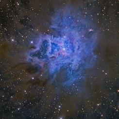 NGC 7023: The Iris Nebula