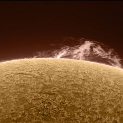 Reinvigorated Sun and Prominence