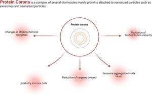 Inflammation Progression Alters Nanoparticle Immune Interactions