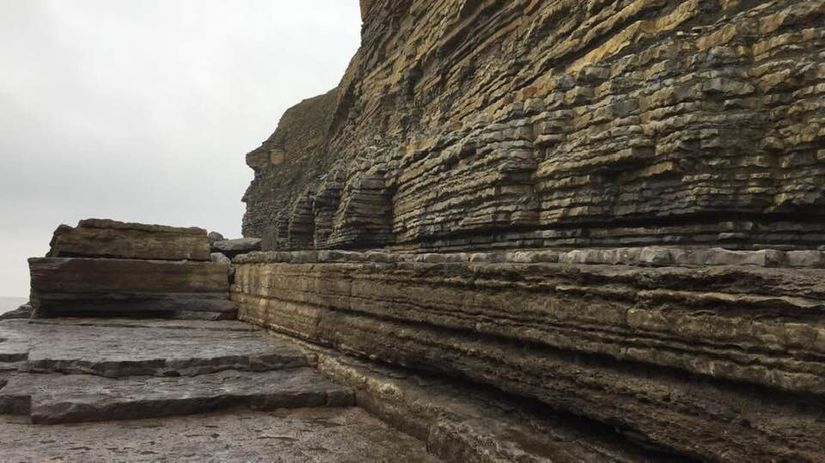 Evrim Ağacı olarak Bileşik Krallık’ın Galler bölgesinde bulunan Southerndown kasabasında gözlemlediğimiz bu kayaç çeşidi fiziksel sedimanter kayaçtır. Küçük çakılların, kireç taşlarının ve kum taneciklerinin bir araya gelip uzun zaman içinde sıkışmasıyla oluşmuştur.