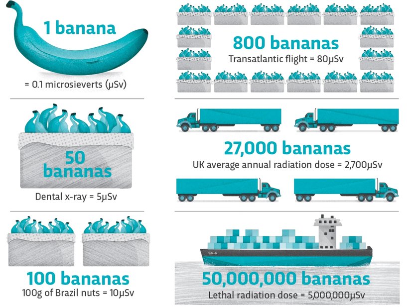 Muz sayısı arttıkça yayılan radyasyon miktarı da artmaktadır.
