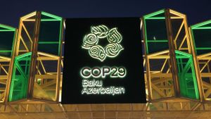 COP29 Climate Conference Opens Amid Political Turmoil