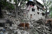 Afghanistan Earthquake Death Toll Rises to 1,100, India Sends Aid