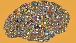 IQ ile Rüya Görme Arasında İlişki Var mı?