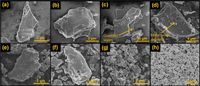 The facile conversion of waste biomass into few-layer graphene oxide - Scientific Reports