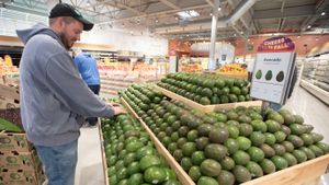 Trump’s Tariffs Loom Over Mexican Avocados Ahead Of Super Bowl