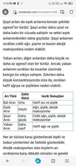 Şaşıl arısı nedir bu arı türü hakkında bilgi sahibi olan varmı. Türü cinsi resmi yaşam alanı gibi konular da bana bilgi verir misiniz?