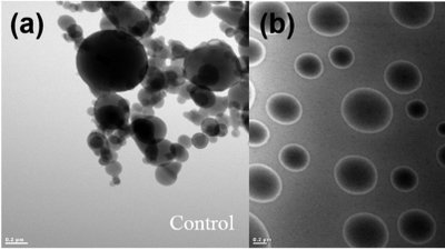 Koaservatlar Ne Yapmaları Gerektiğini Nereden Biliyorlardı? Canlılık, Doğal Süreçlerle Nasıl Başladı?
