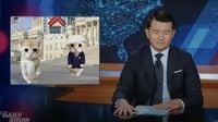 'The Daily Show' cringes through the government shutdown meme war