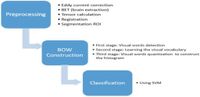 Classification method based on surf and sift features for alzheimer diagnosis using diffusion tensor magnetic resonance imaging - Scientific Reports