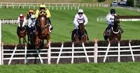 Fallen star Constitution Hill flops again at Punchestown Festival