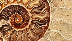 Biraz da evrim karşıtlarını mutlu edelim.