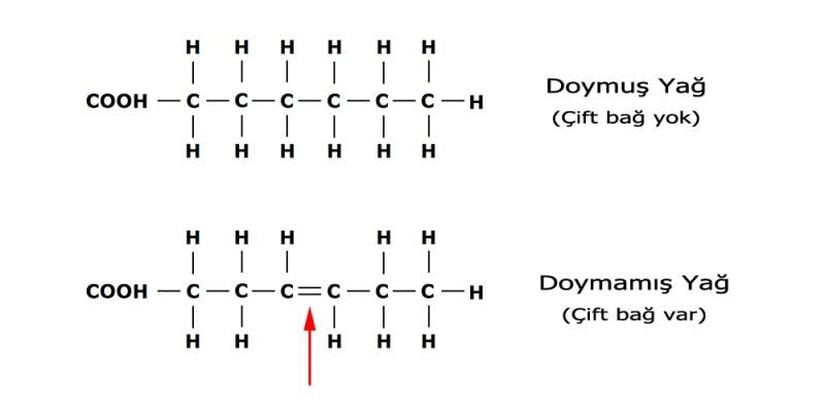 Görsel 11: Doymuş yağ asidi ile doymamış yağ asidinin yapısı