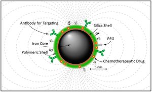 Novel Nanoparticle Targeting MiR-497 Offers Hope For Colorectal Cancer