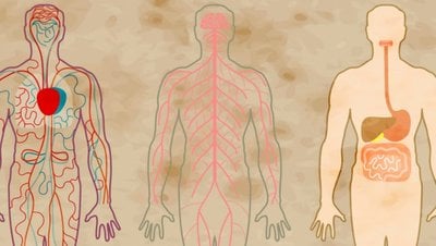 Şizofreni Yalnızca Beyni Değil Vücudu da Fiziksel Olarak Etkiliyor Olabilir!