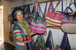 Vietnamese OCOP Products Gain Global Spotlight In 2025