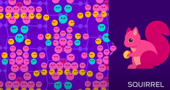 Dizilişini Karmaşık Yaparsak da Sincap Elde Ederiz