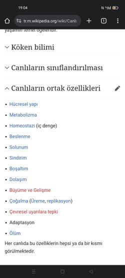 Yapay zeka artik canlı kategorisine girmeli mi?