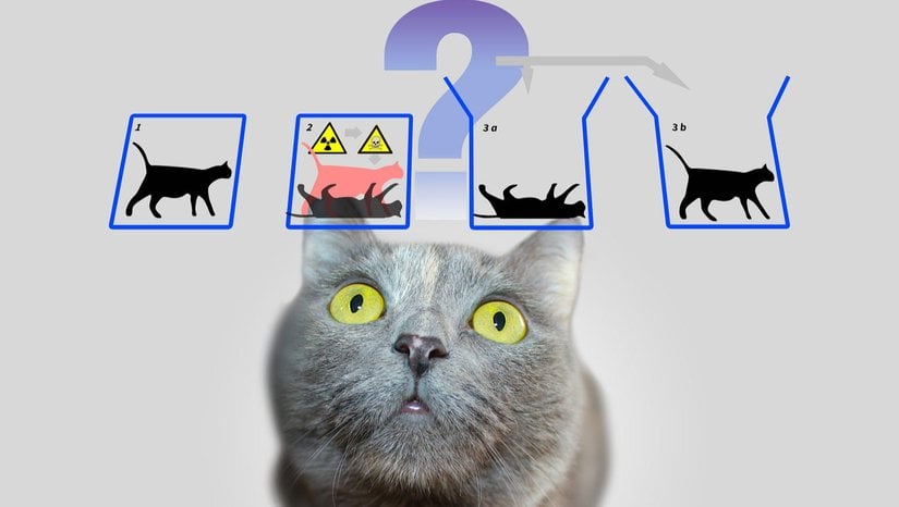Schrödinger'in Kedisi Deneyi Nedir?