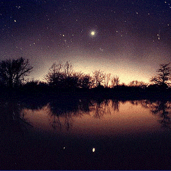 Latest Comet Hyakutake images: