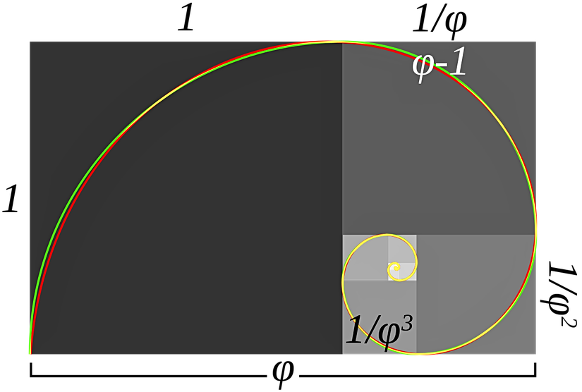 Altın spirali elde etmek için altın dikdörtgeni bölmemiz gerekir.