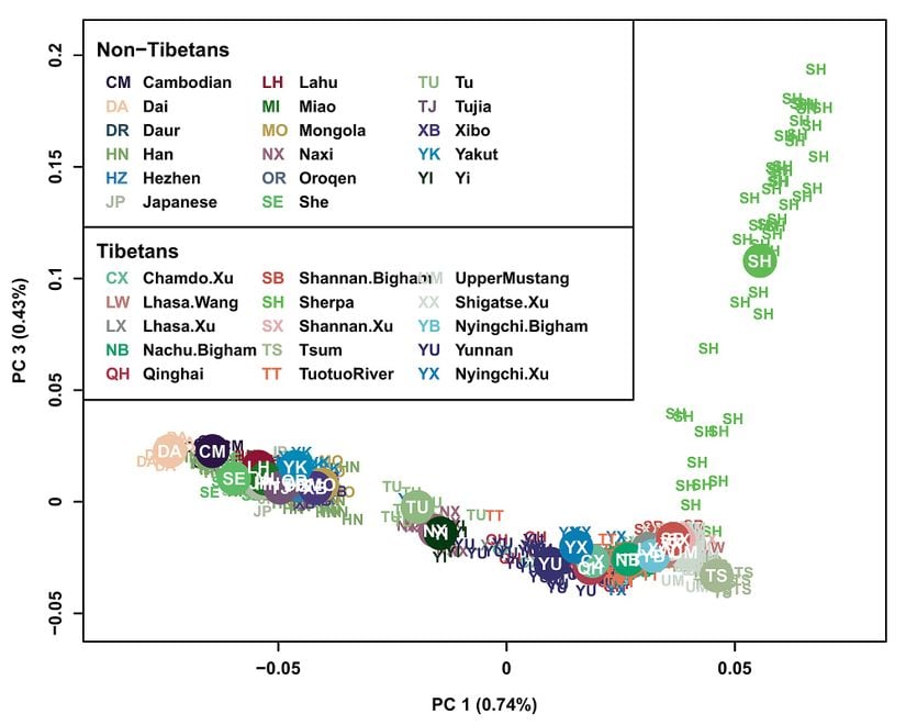 Tibet Platosu'ndaki insanların genetik dağılımlarını gösteren bir grafik