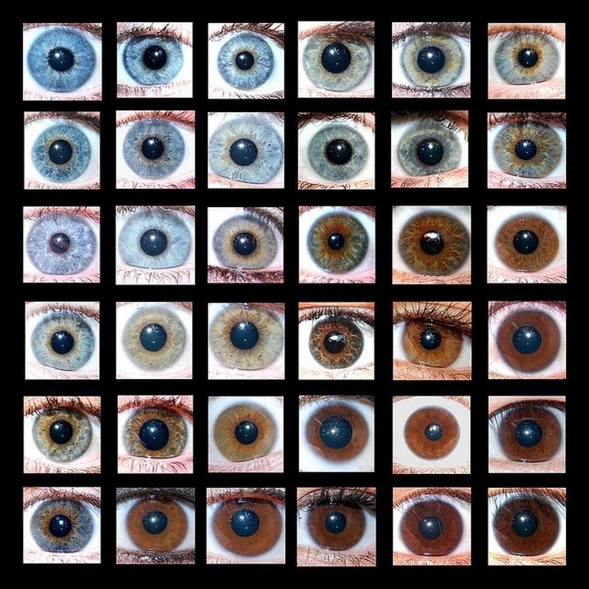 İnsanlarda görülen bazı göz renkleri...