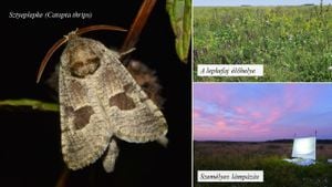 New Research Unveils Mitochondrial Genomes Of Rare Micromoth Species