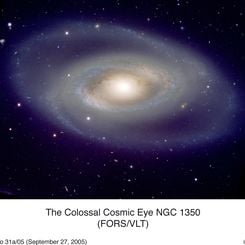 Spiral Galaxy NGC 1350