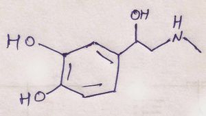 Adrenalin (Epinefrin) ve Noradrenalin (Norepinefrin) Nedir? Aralarında Nasıl Bir İlişki Vardır?