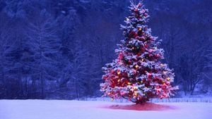 Balancing Tradition And Sustainability With Christmas Tree Choices