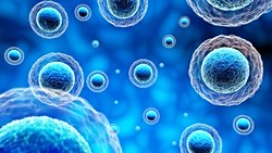 Yaşam, Kendi Kendini Kopyalayan Proteinlerle Başlamış Olabilir!