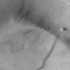 A Dust Devil on Mars