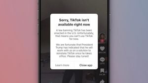 TikTok's Temporary Shutdown Sparks Brand Reassessment