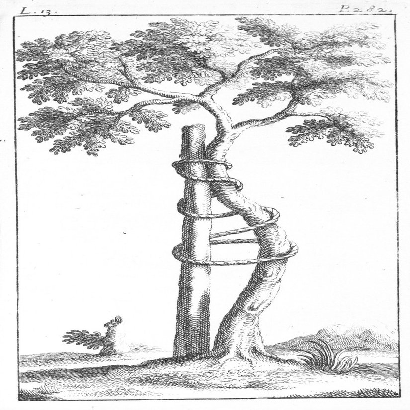 Orta çağda bir uygulama olan çocuklarda bedeni düzeltme sanatı. Yukarıda örneğini verdiğimiz iktidarın bedeni kullanmasına bir örnek teşkil eder. İktidar, hapishanedeki uygulamalarıyla bedeni normalleştirmek ister.