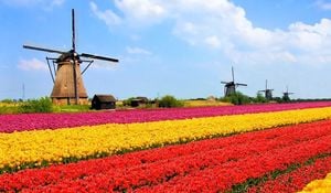 Netherlands Mapping Critical Raw Materials Supply Chain