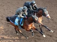 【市川の日曜競馬コラム・阪神大賞典】｜市川が人気馬を斬る