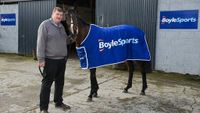 Hewick primed for the race of his life but strong handed Mullins will be hard to beat - Horse Racing - Carlow Nationalist