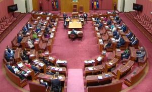 Senate Estimates Hearings Ignite Debates On Accountability