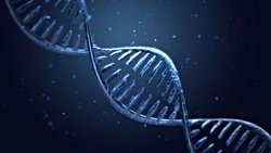 Varyasyon (Çeşitlilik), Adaptasyon, Evrim ve Biyoçeşitlilik Arasındaki İlişki Nedir?