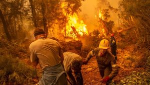 Greece Faces Catastrophic Wildfires Amid Record Heat